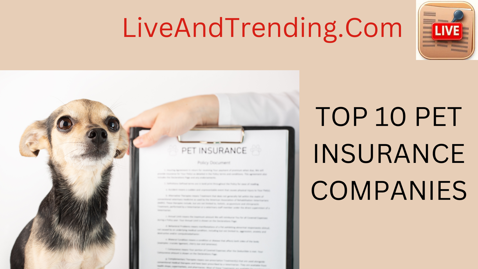 Pet Insurance